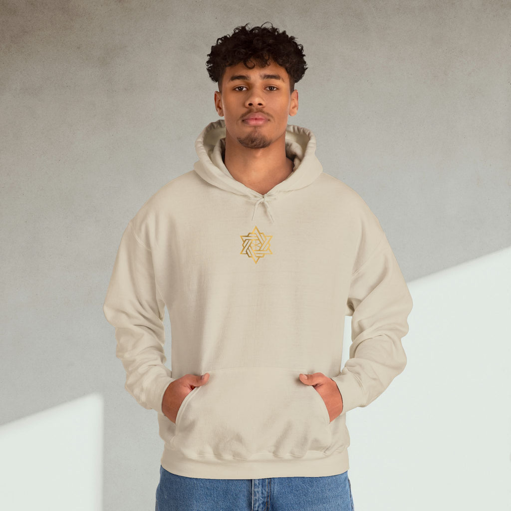 Hoodie - "No sé que voy a hacer, ni como lo voy a hacer, solo se que lo voy a hacer"